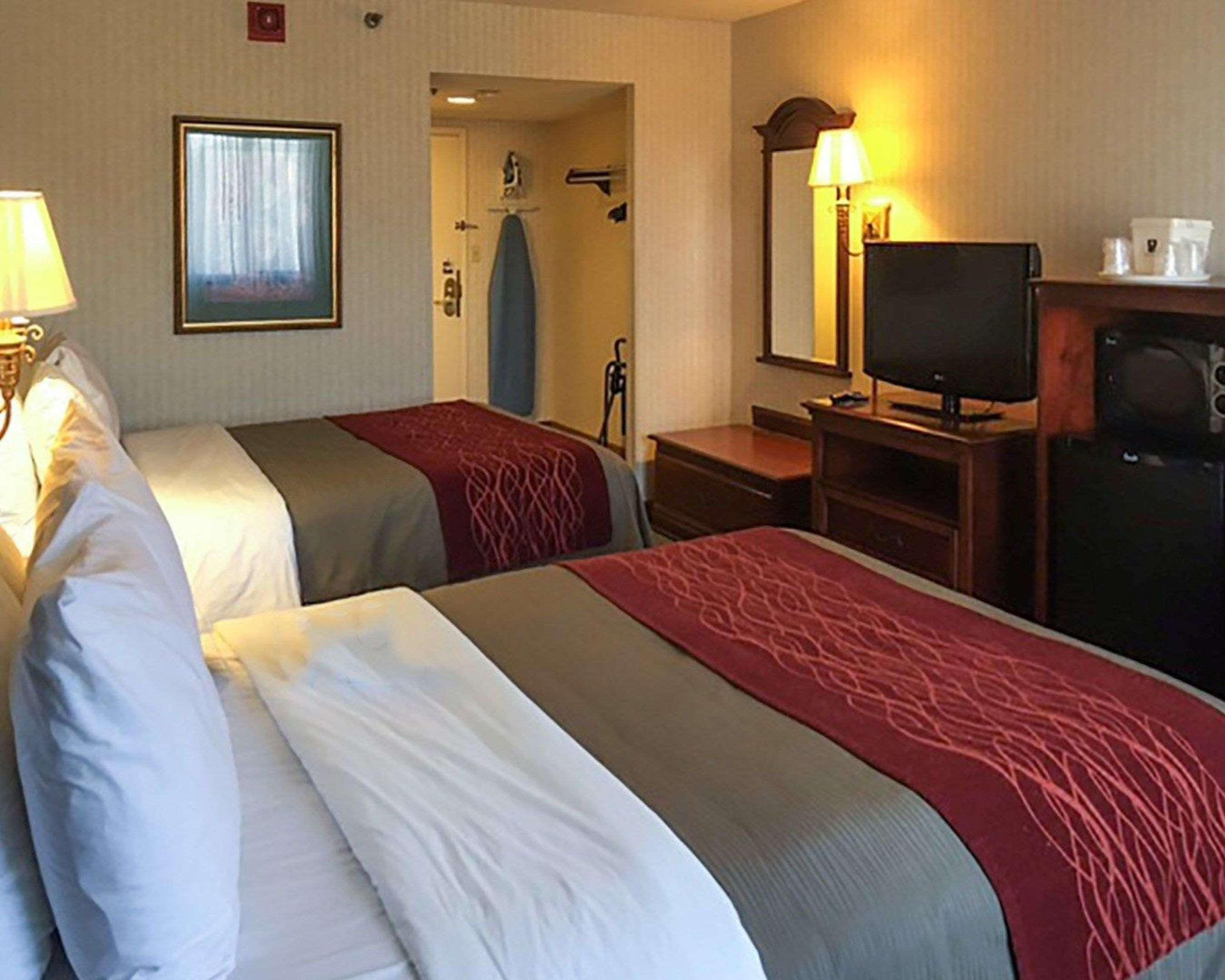 Comfort 2* Springfield
