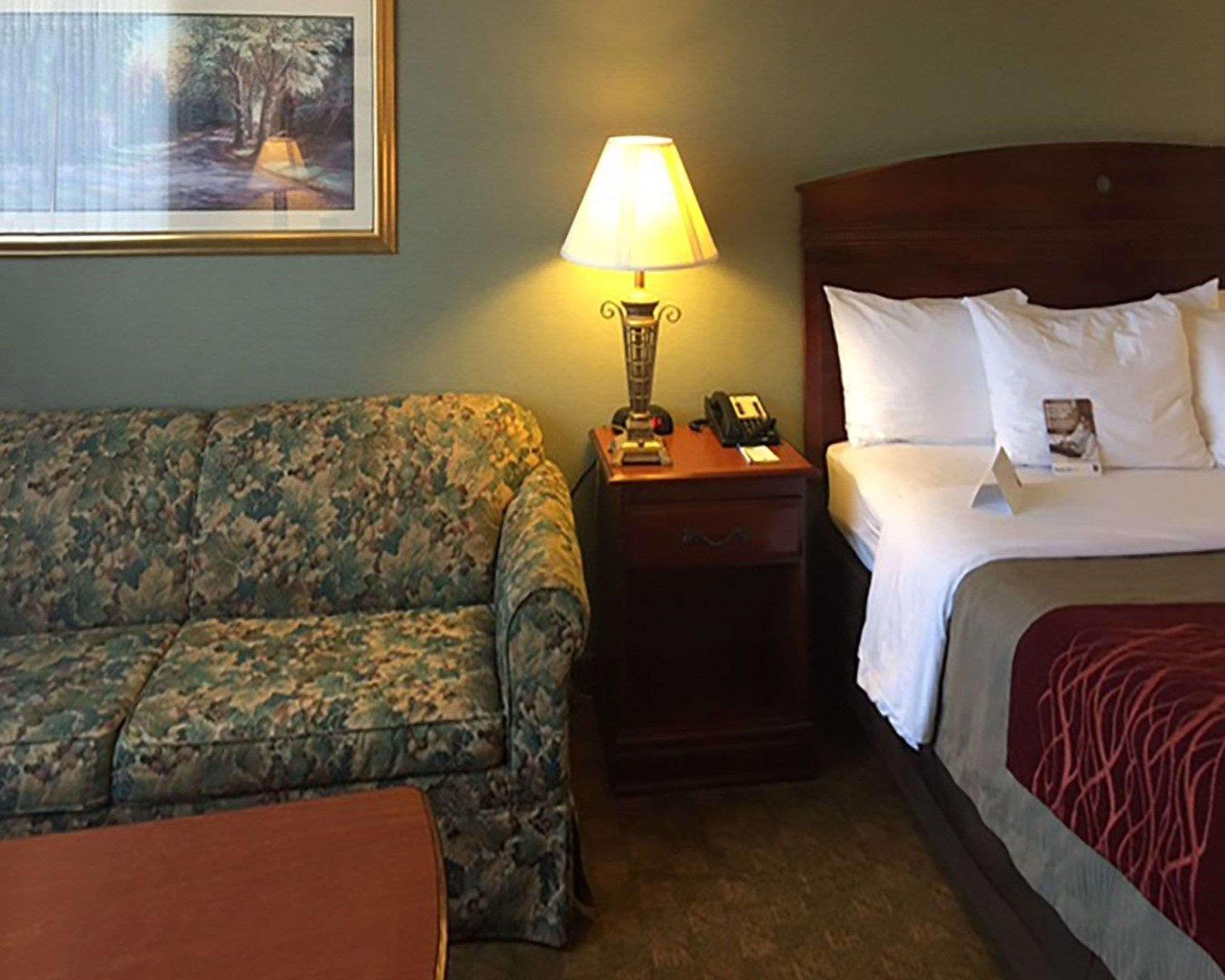 Comfort Springfield